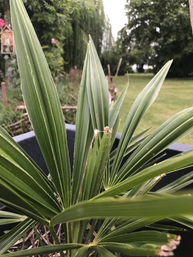 Campagn'Art Bed & Breakfast Les Fosses Bagian luar foto