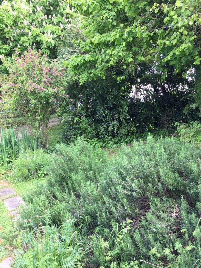 Campagn'Art Bed & Breakfast Les Fosses Bagian luar foto